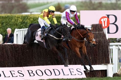 cheltenham gold cup tips|Cheltenham Festival 2024 : The Latest News, Tips & Results..